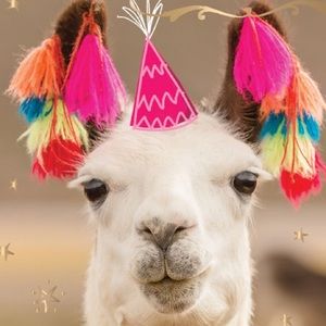 Meet your Posher, Leslie